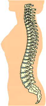 背骨と首の痛み